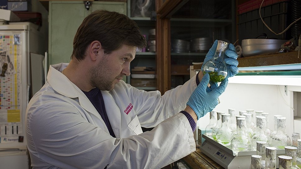 В Донецке ждут «большого гостя»