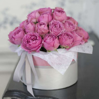 Only Rose — идеальные розы в коробке | Купить свежесрезанные ...